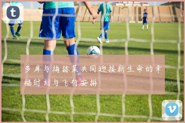 多库与梅赫莱共同迎接新生命的幸福时刻与飞行安排