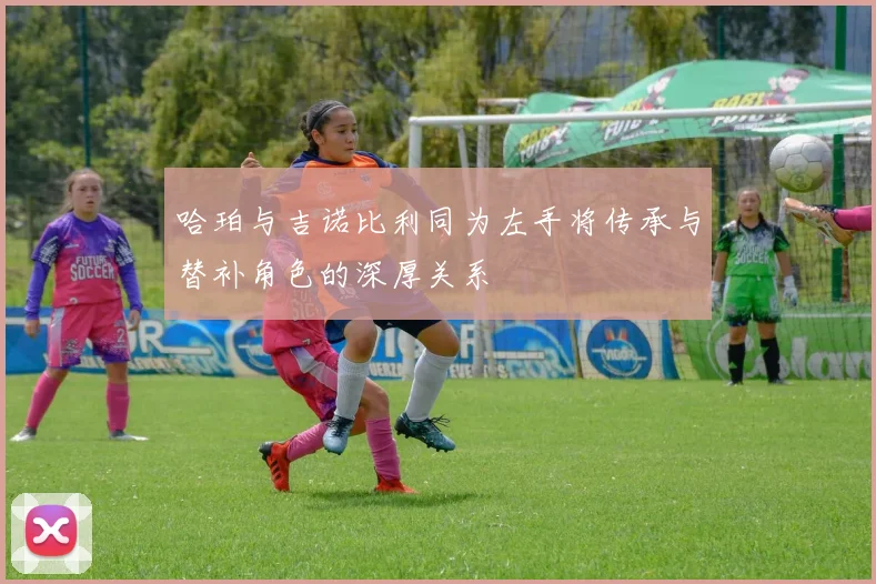哈珀与吉诺比利同为左手将传承与替补角色的深厚关系